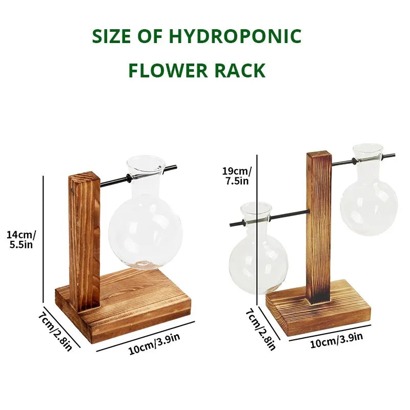 Hydroponics Plants Wooden Stand Room Decor